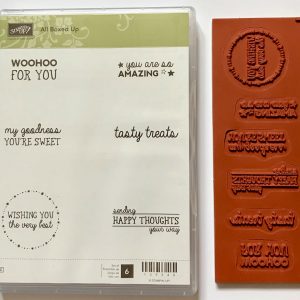 All Boxed Up Stamp Set