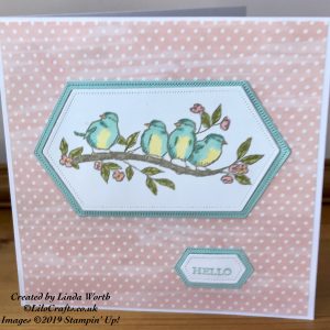 Blue/Yellow Birds Hello card