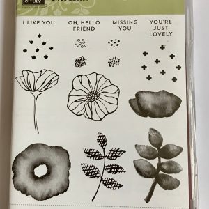 Oh So Eclectic Stamp Set and Dies